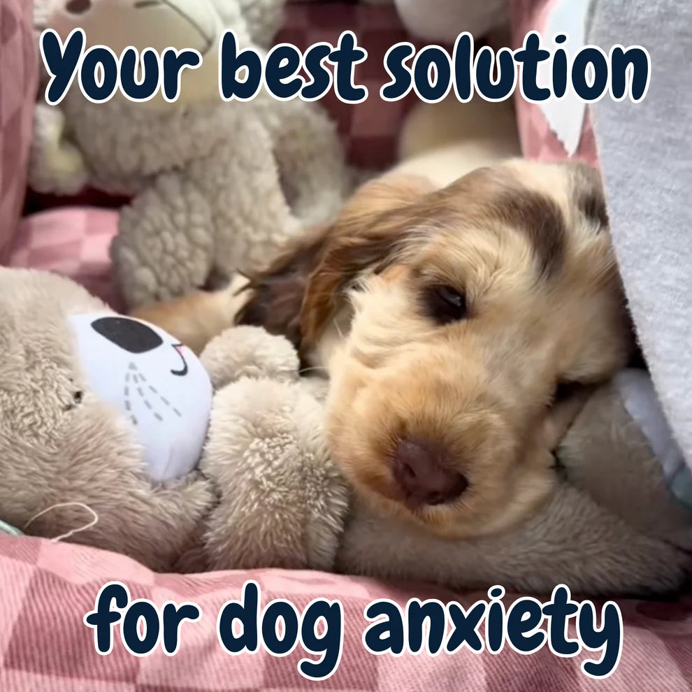 Calming Breathing Otter™ 🐾