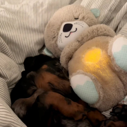 Calming Breathing Otter™ 🐾