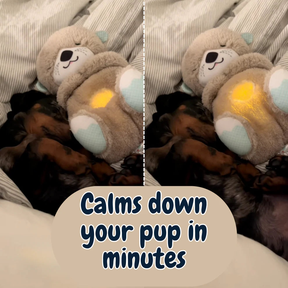 Calming Breathing Otter™ 🐾
