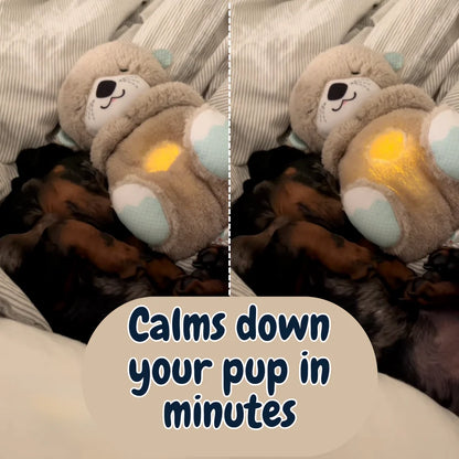 Calming Breathing Otter™ 🐾