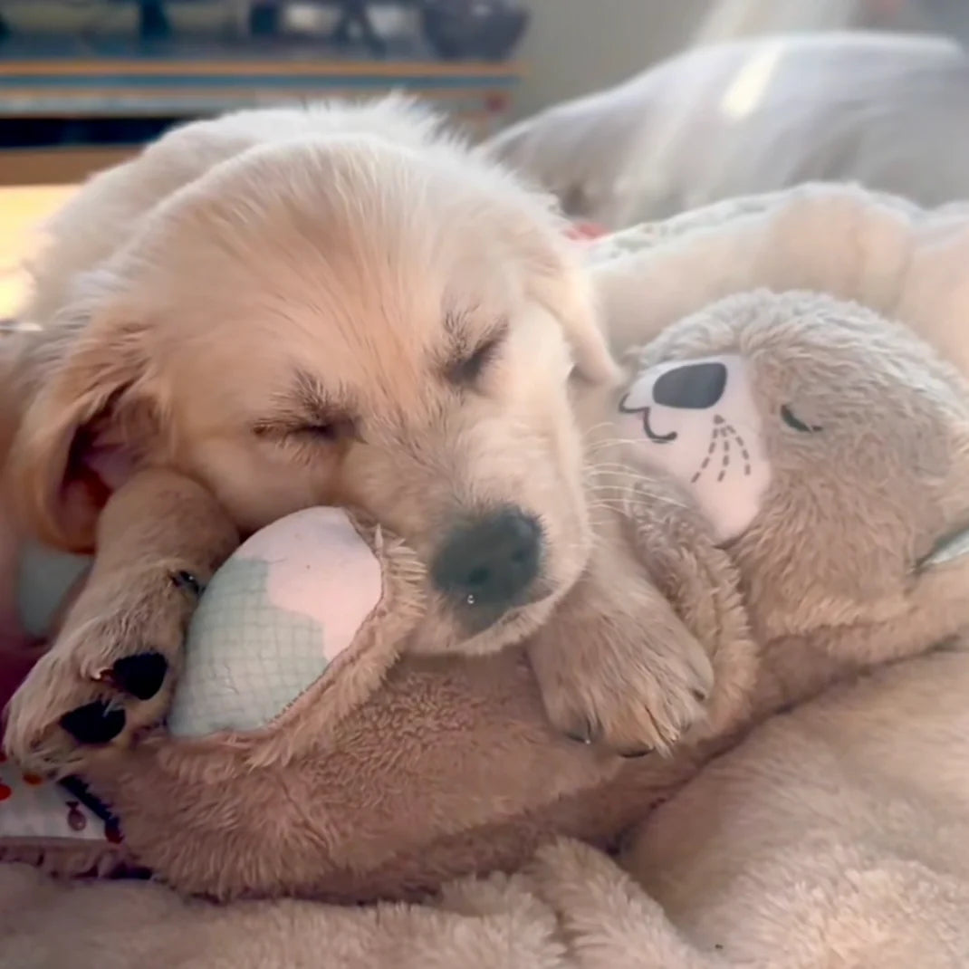 Calming Breathing Otter™ 🐾