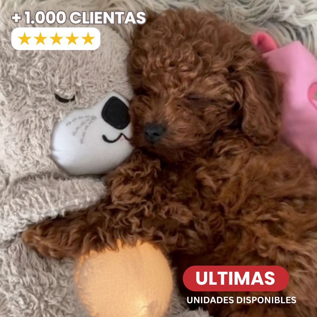 Calming Breathing Otter™ 🐾